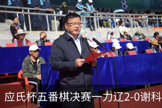 应氏杯五番棋决赛一力辽2-0谢科 率先拿到赛点
