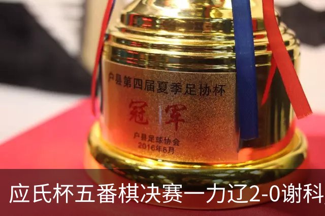 应氏杯五番棋决赛一力辽2-0谢科 率先拿到赛点